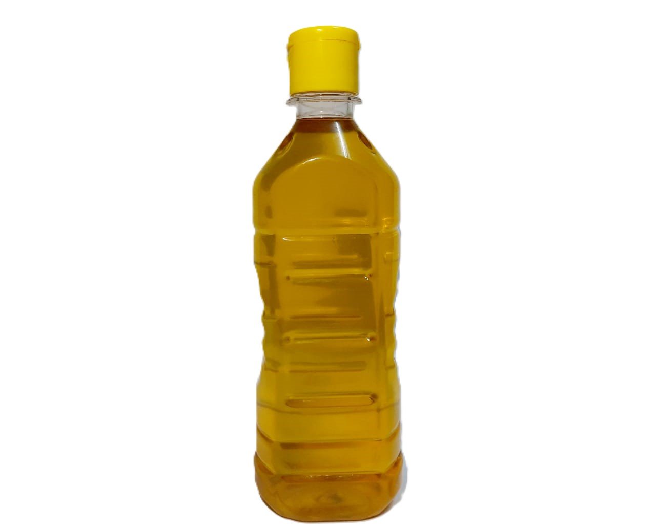 Ginjelly Oil 500ml